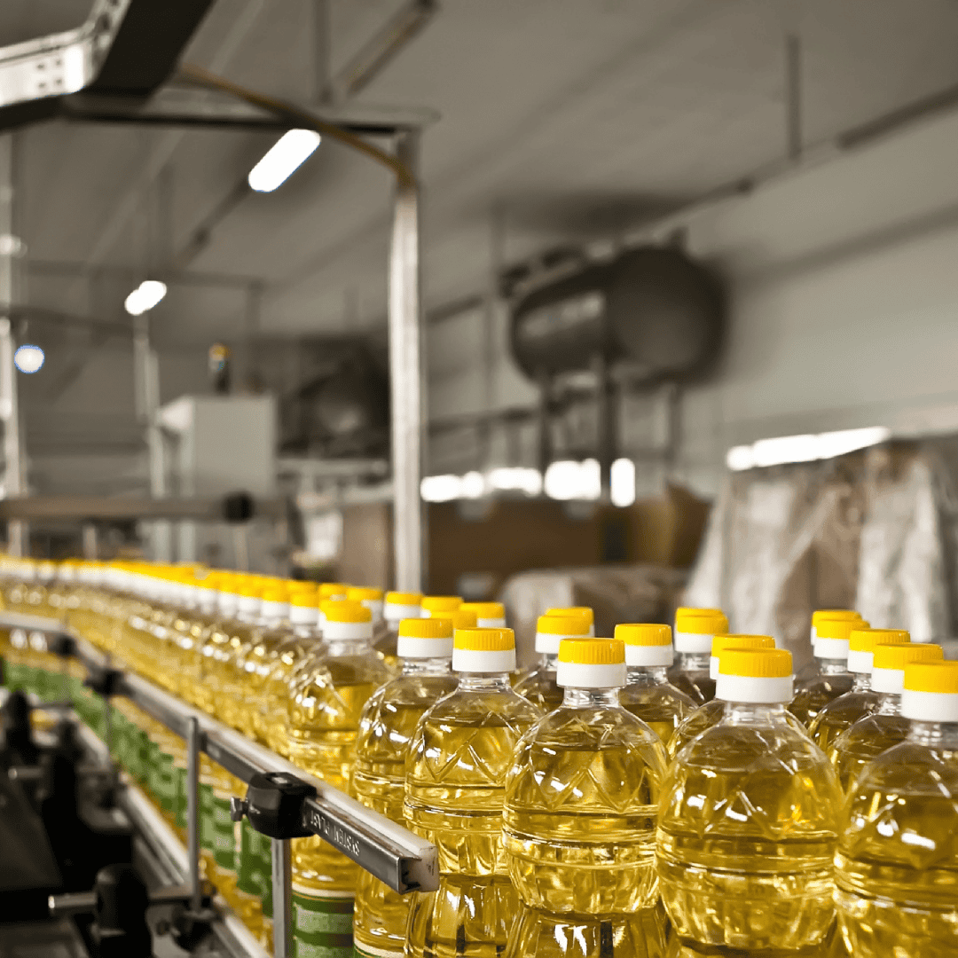 Best oil extraction equipment Africa